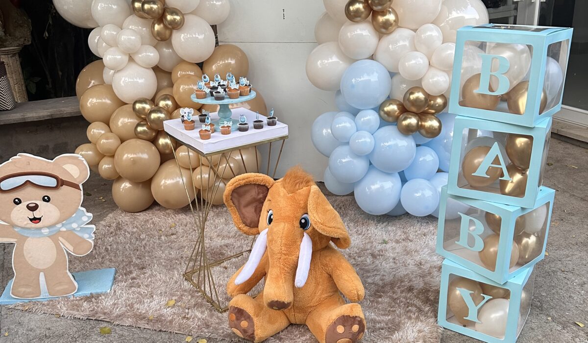 BABY SHOWER- NMP