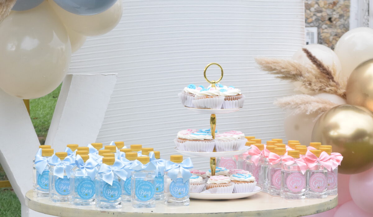 DESCUBRIMIENTO - NMP